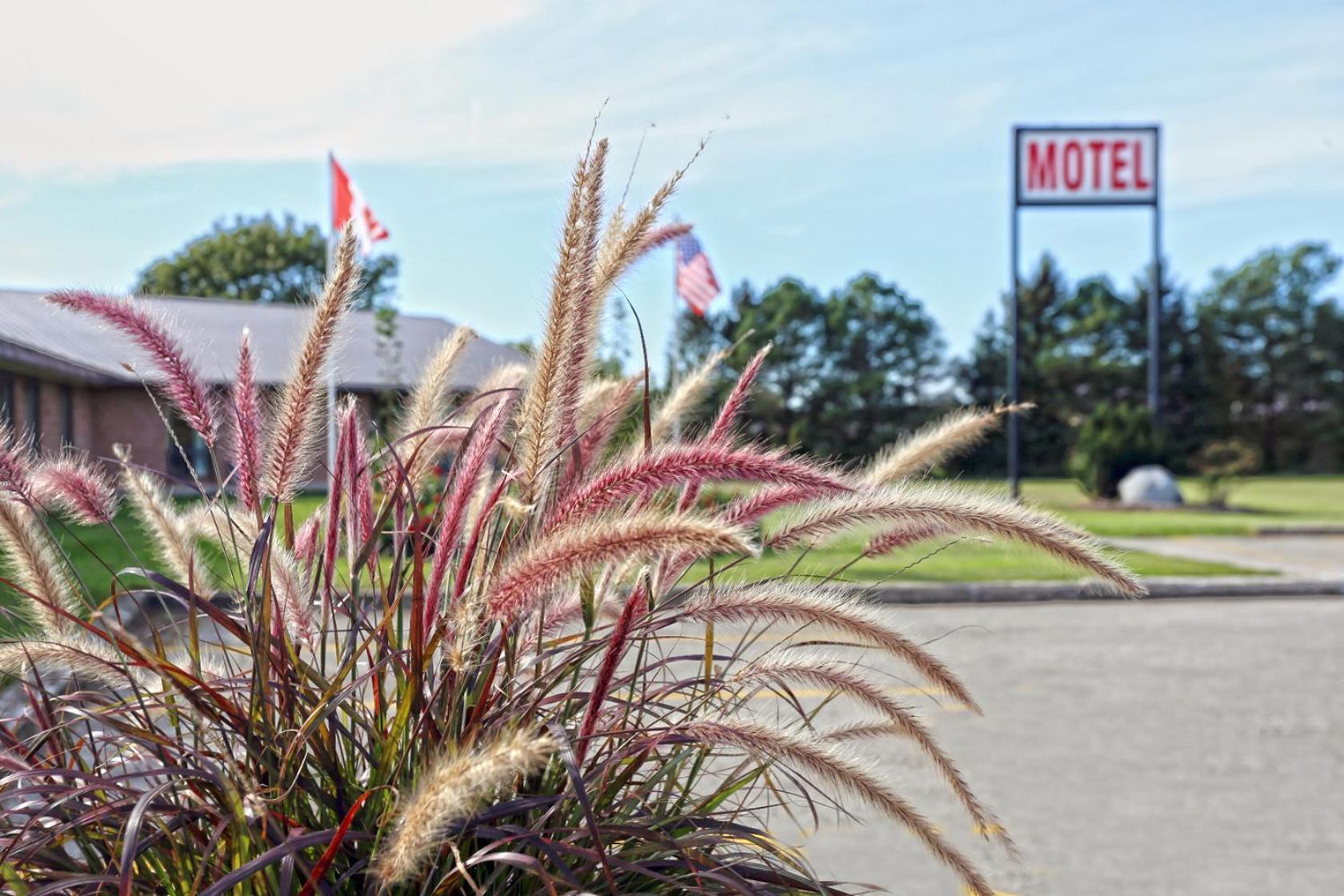 King Hotel Palmerston Esterno foto